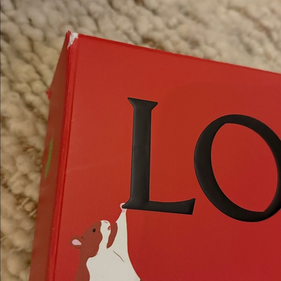 ❣️ LOEWE Suna Fujita limited edition large box - Picture 5 of 7